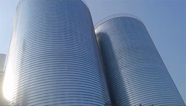 泸州2座混凝土高架卷板仓